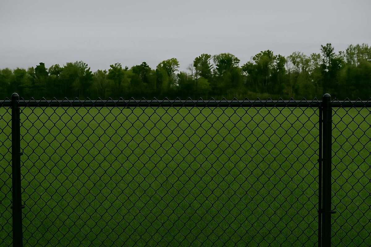 Black Vinyl Coated Chain Link Fence