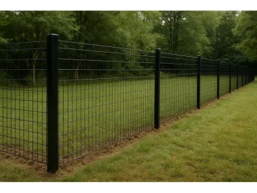 Dog Fence